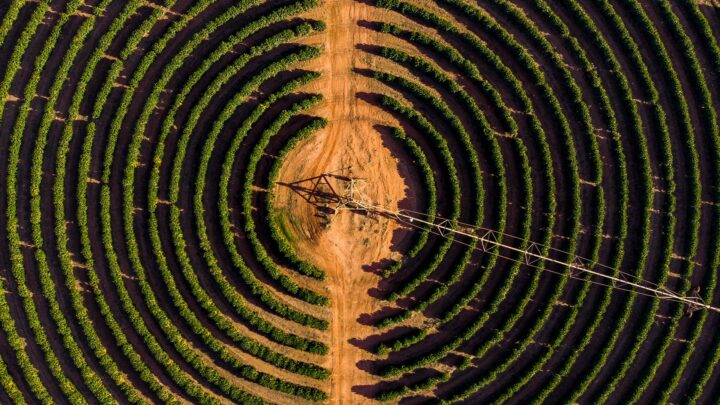 Pivô de irrigação conheça quais são e suas vantagens