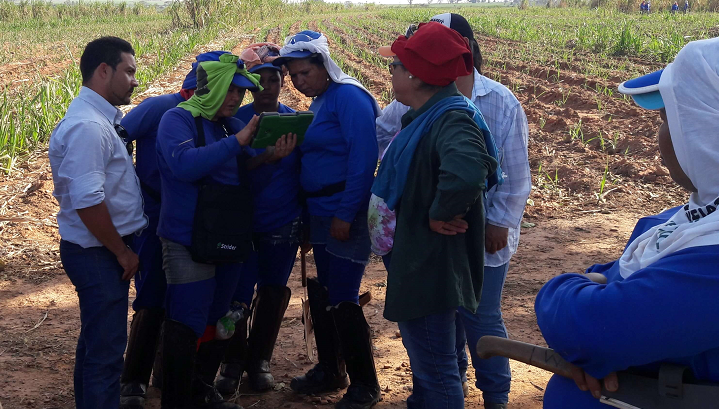 Mulheres conquistam esoaço no campo