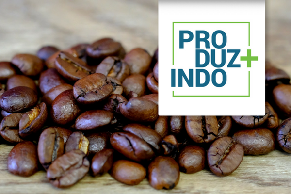 Produzindo mais nos cafezais