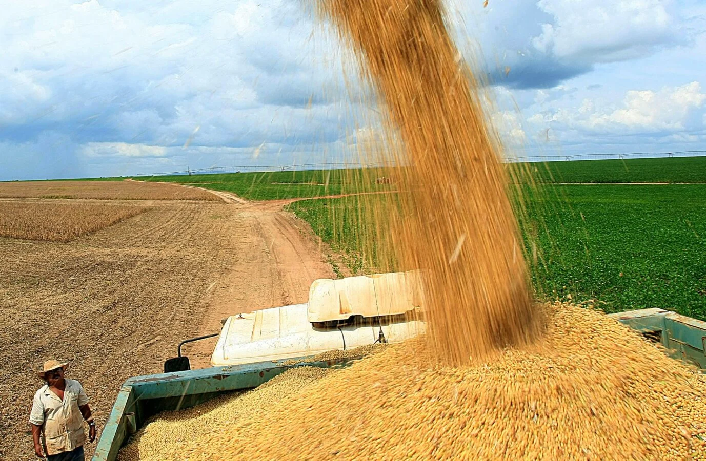 Setor agropecuário