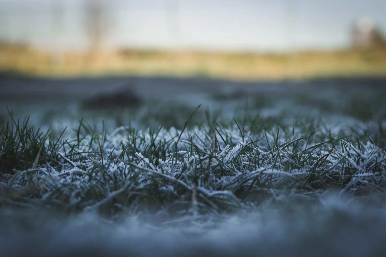 geada plantacao frio