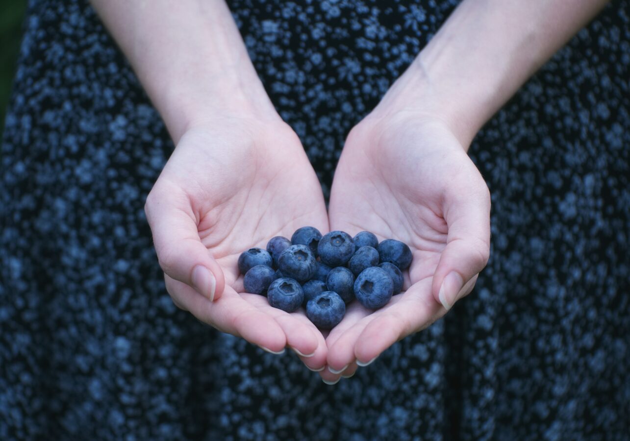 Blueberry, fruto também conhecido como mirtilo