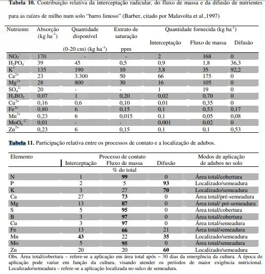 contribuição relativa da interceptação radicular