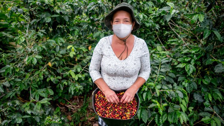 mulher usando mascara plantacao de cafe