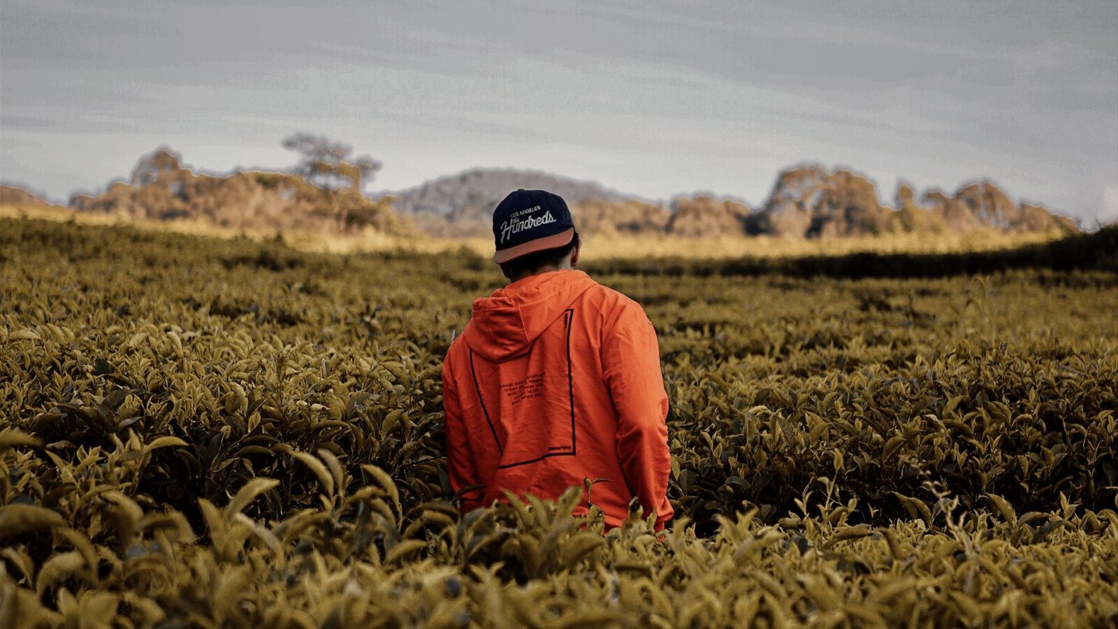 Homem vestido laranja na fazenda