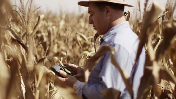 Monitoramento agrícola com tablet