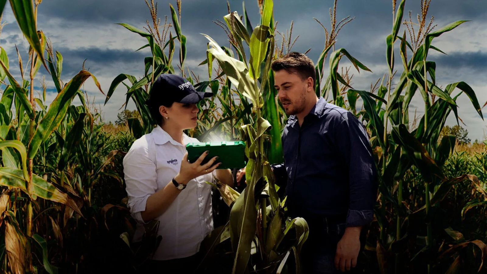 Evolução tecnológica do agronegócio