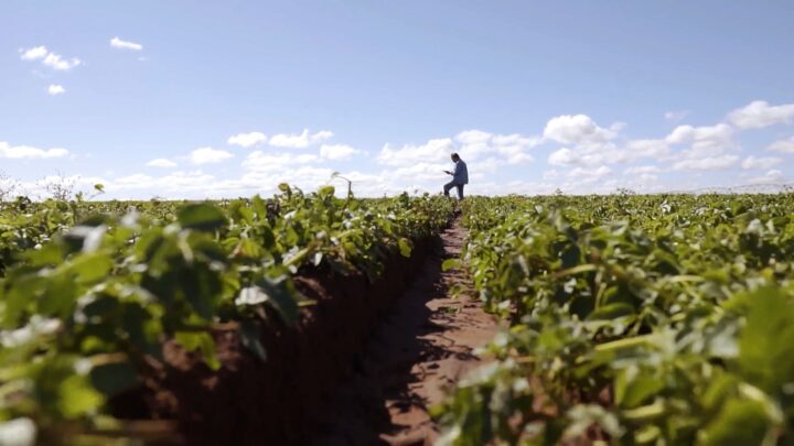 Algar Farming