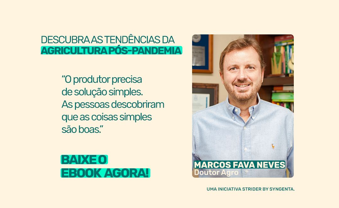 Confira o ebook de Marcos Fava Neves
