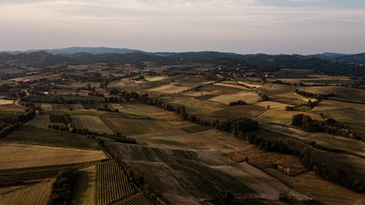 Vista área de talhões