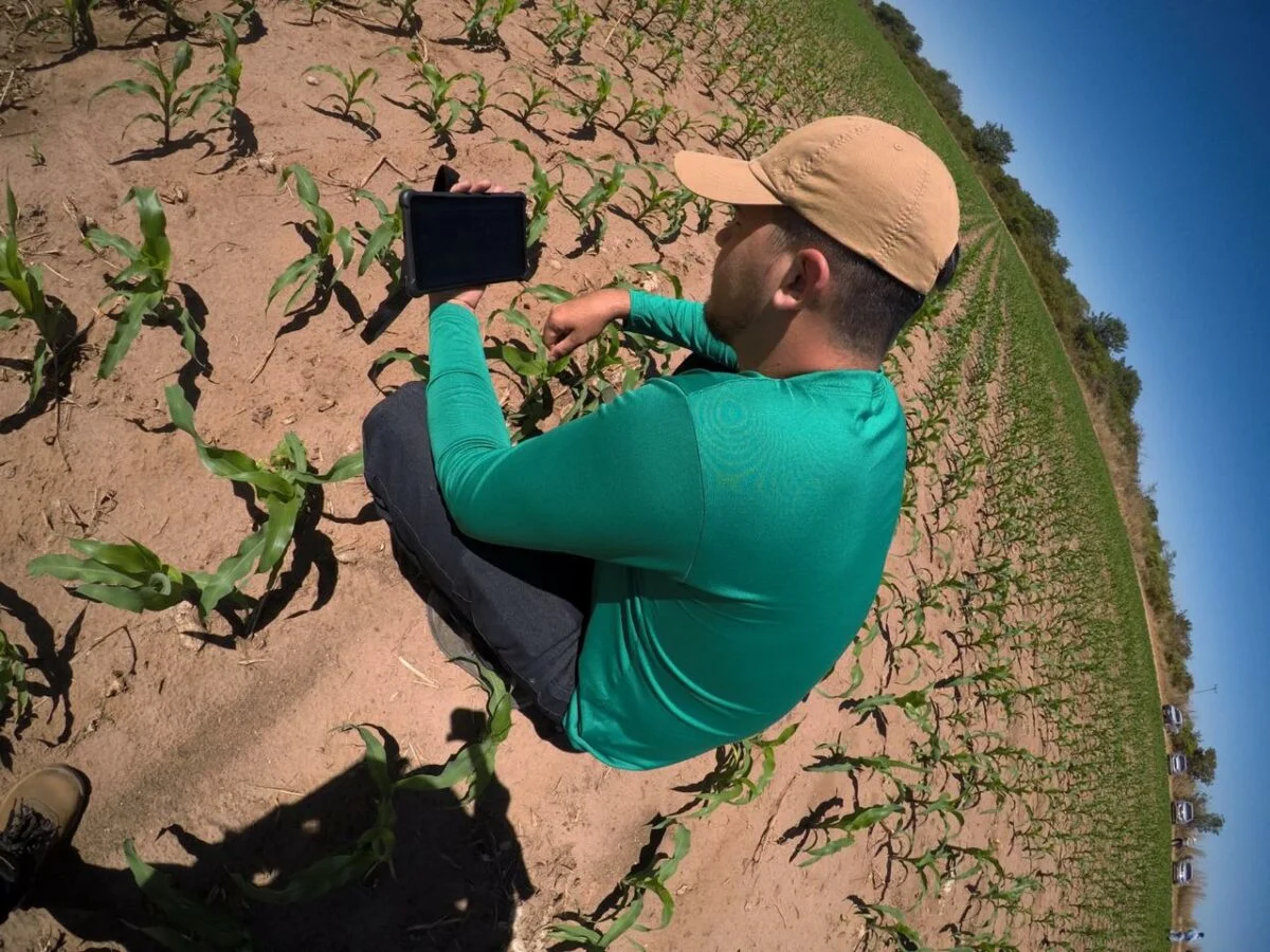Monitoramento de pragas no campo