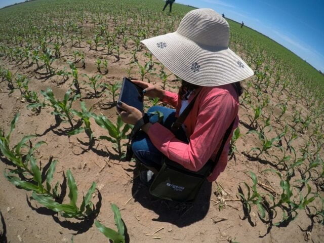 Consultora do Controle Certo no campo