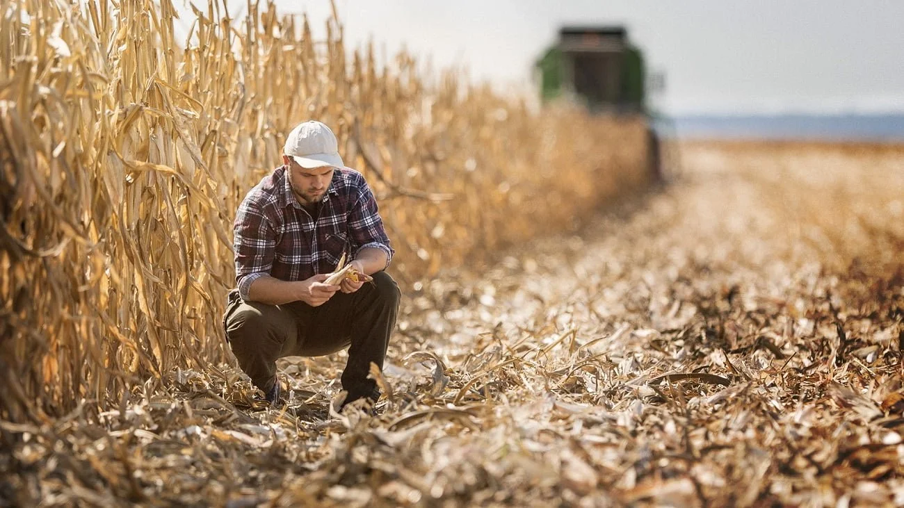 Agricultor analisando colheita da sua fazenda