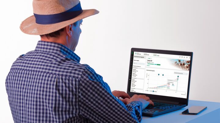 Agricultor faz monitoramento do algodão pelo computador