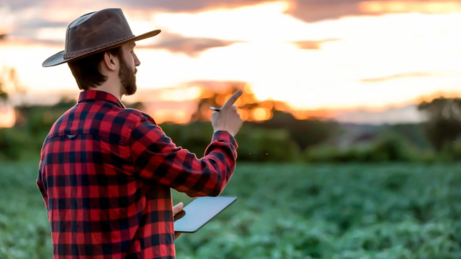 Agricultor analisa sua fazenda para se preparar para mudanças cilmáticas