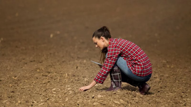 Agrônoma agachada para realizar análise do solo