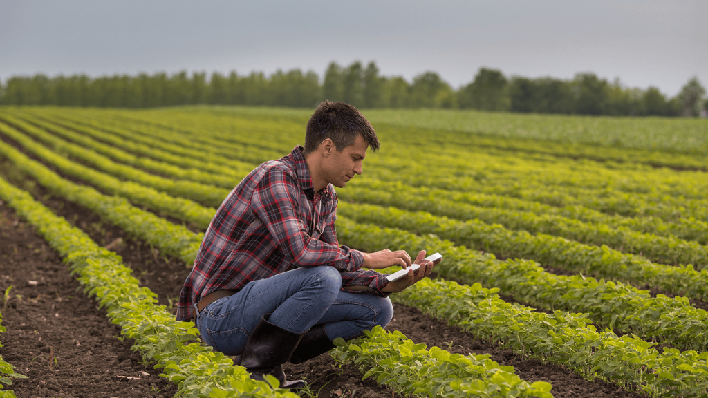 homem com tablet analisando campo
