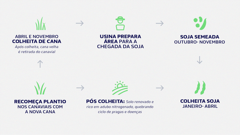 como funciona o projeto de renovação de cana de açucar com a soja
