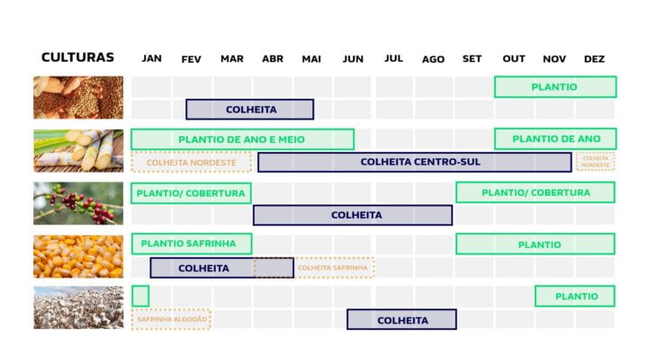 calendario da agricultura e safras