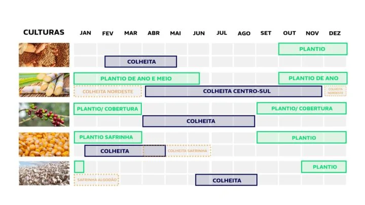 calendario da agricultura e safras