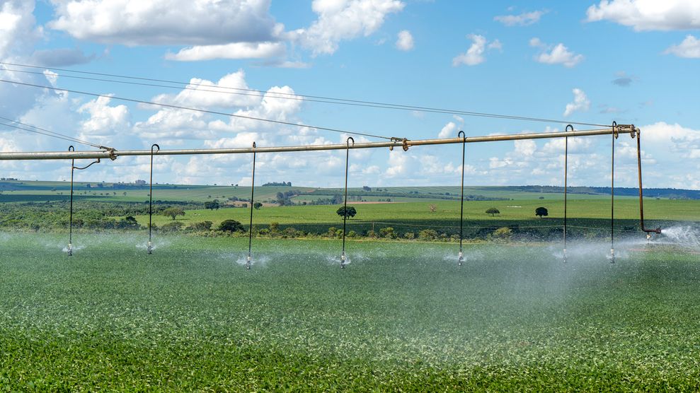Com a irrigação é possível amenizar os efeitos de uma geada