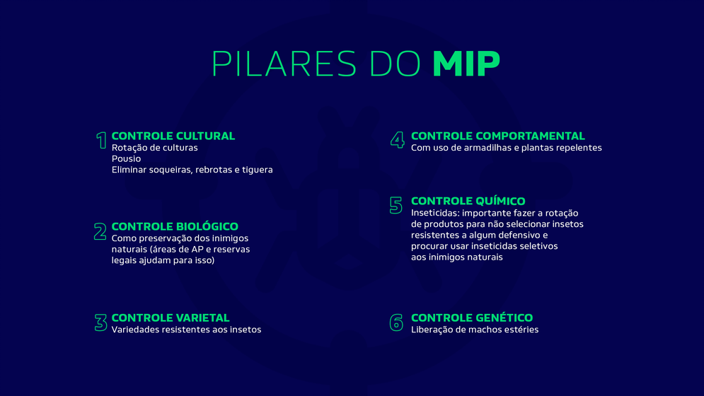 os pilares do MIP