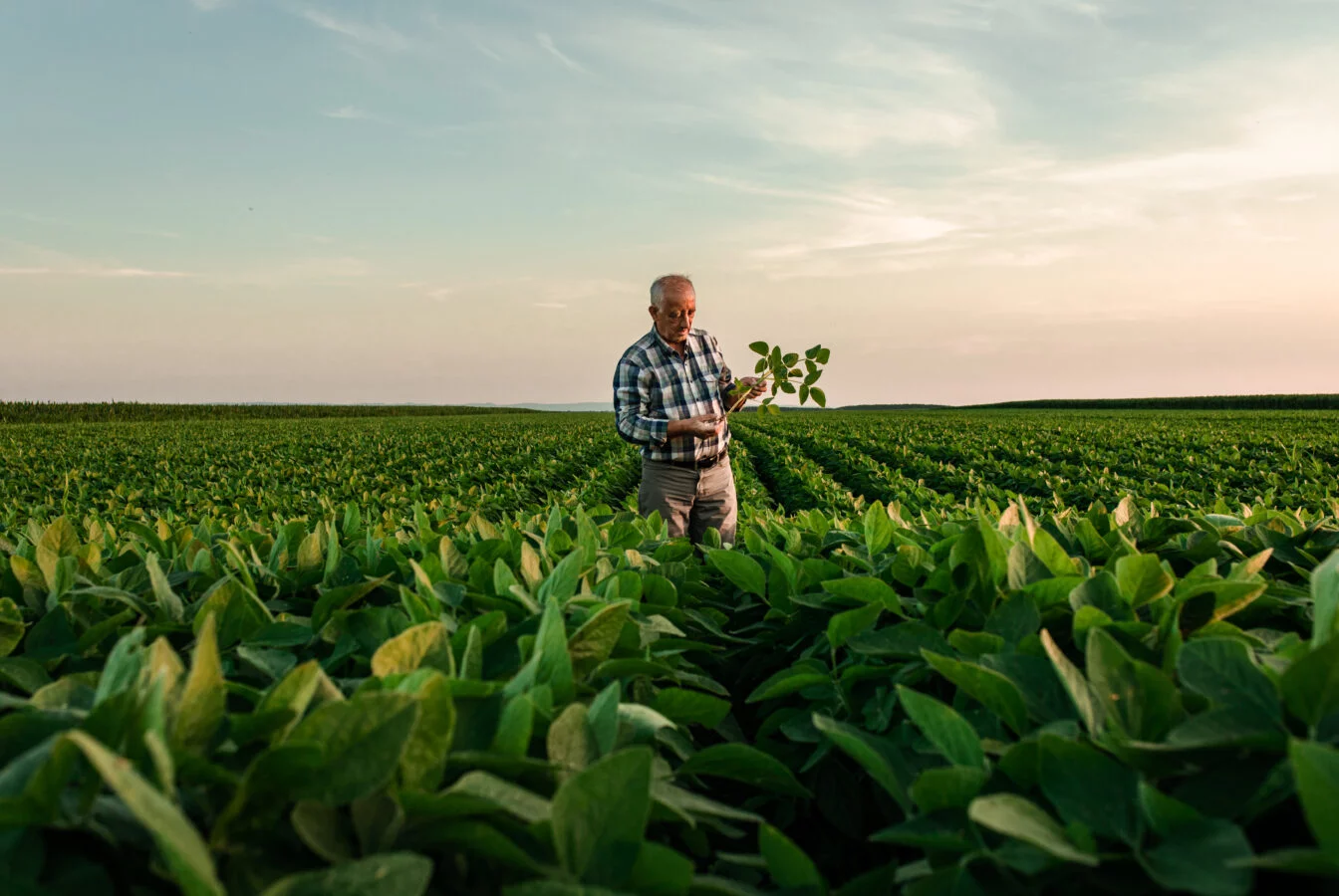 dia mundial do meio ambiente: agricultura regenerativa