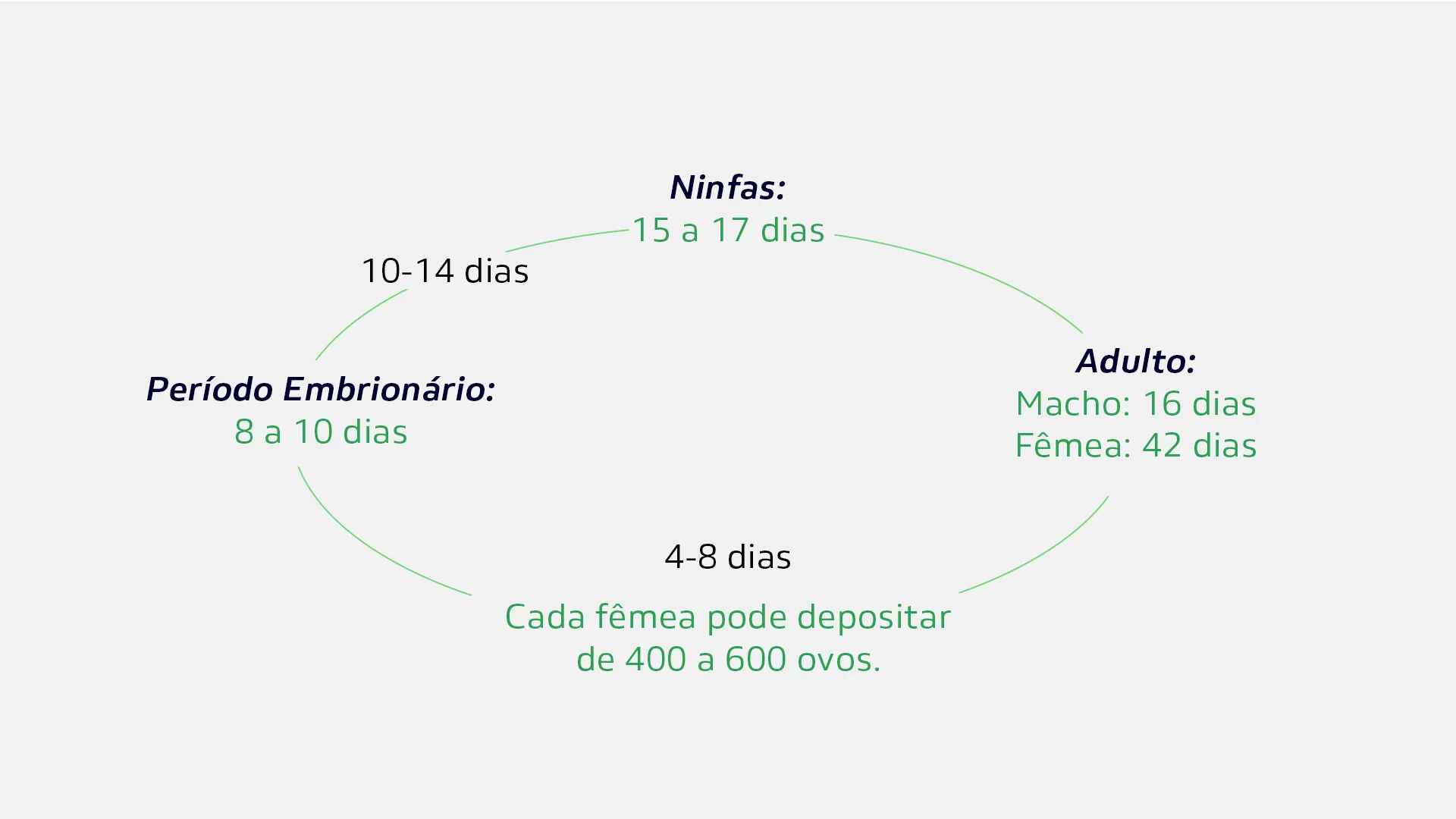 Ciclo do enfezamento do milho em gráfico circular