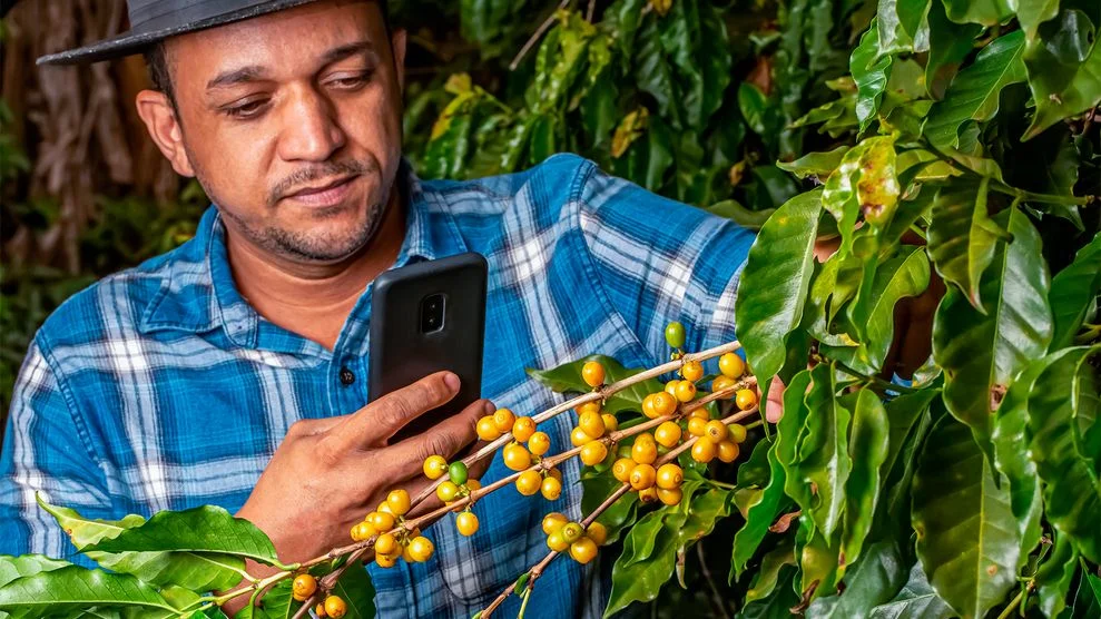 Com monitoramento digital, produtores têm conseguido um combate mais eficaz.