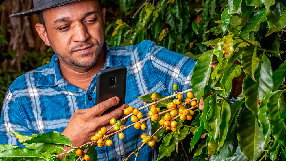 Homem usando o celular para tirar fotos do cafezal