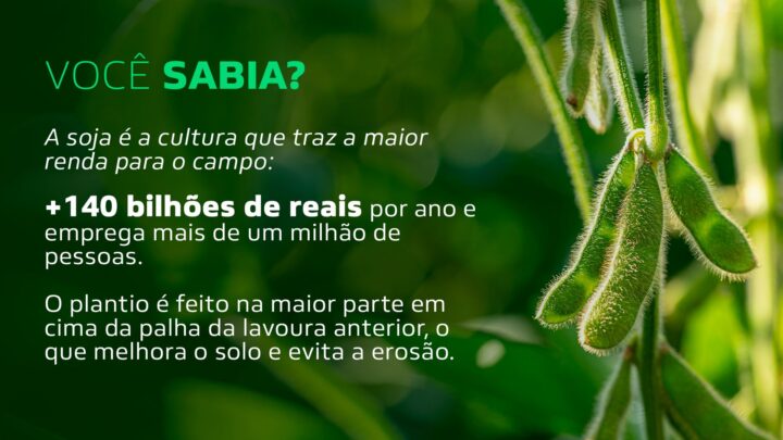 Imagem listando curiosidades da soja