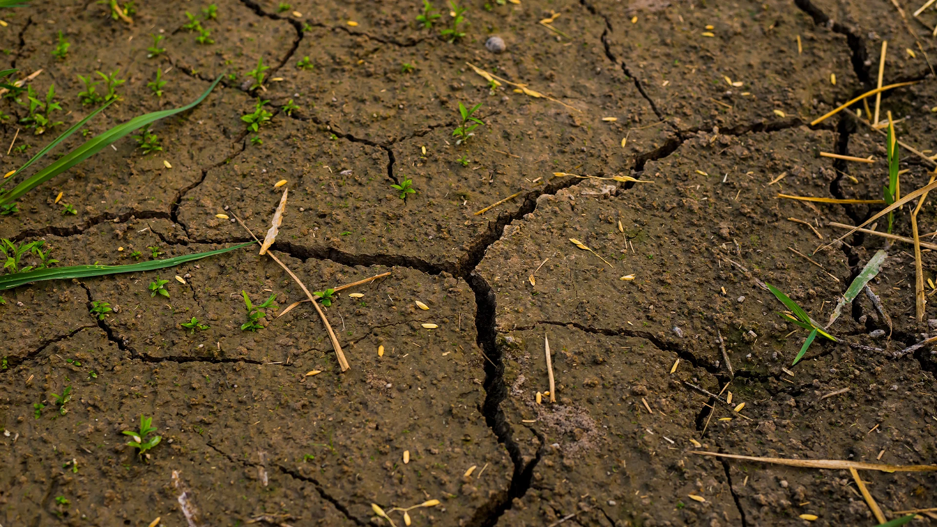 Terra degradada devido a erosão
