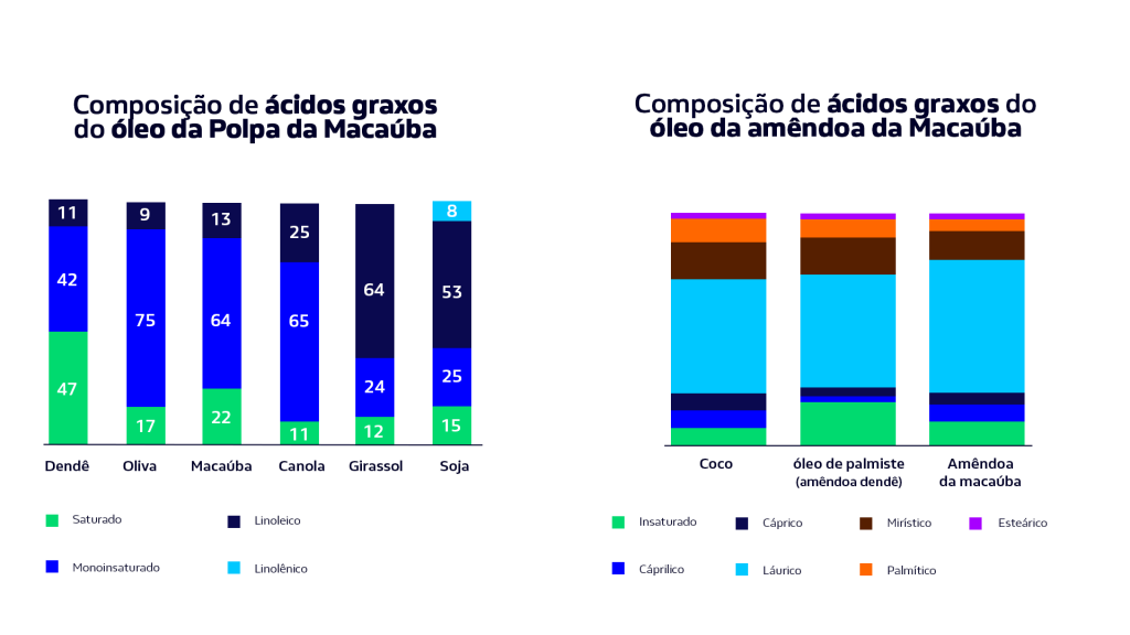 Composição de ácidos graxos da polpa e amêndoa do fruto de macaúba.