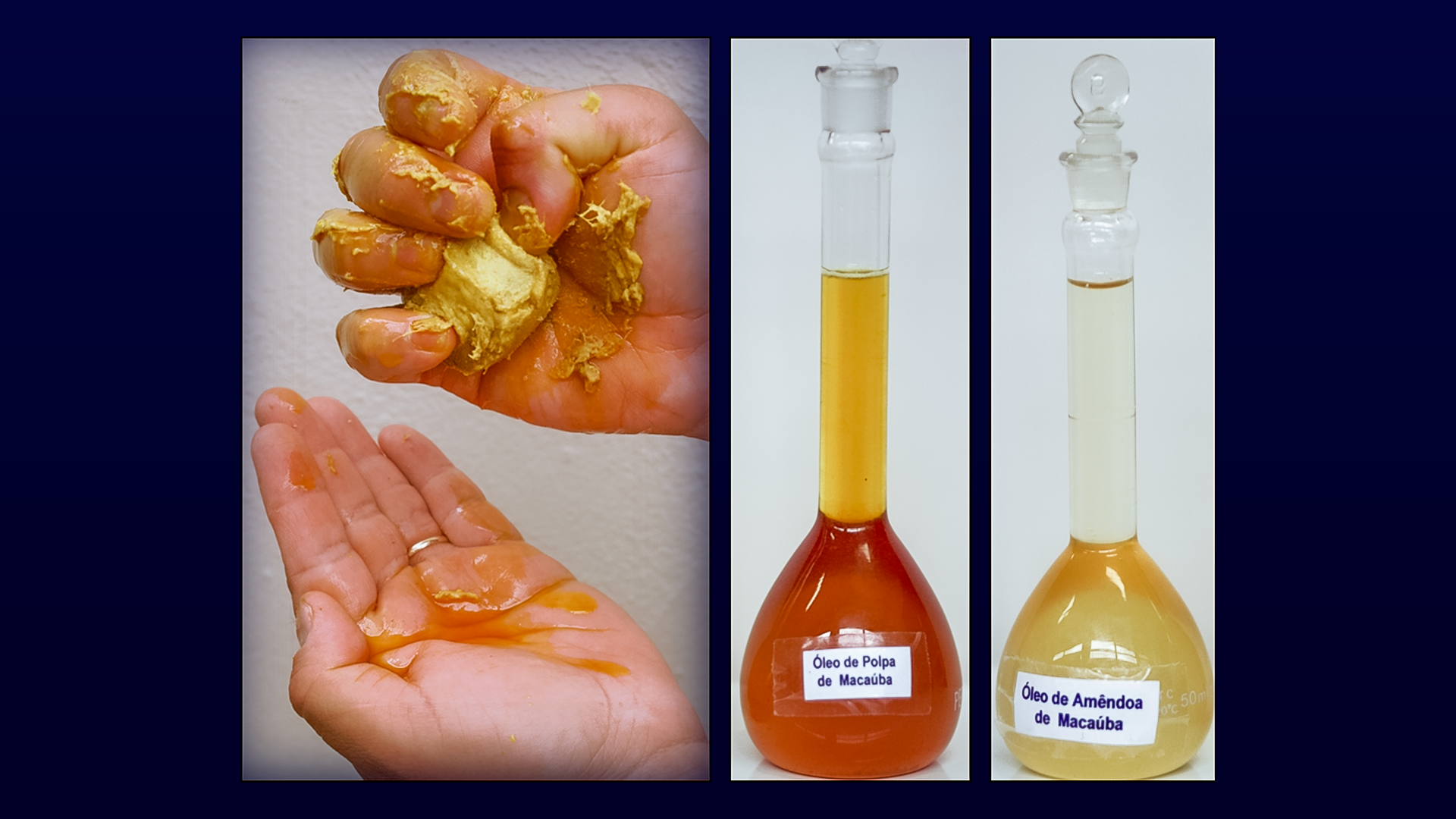 Tipos de óleos da macaúba, um de cor alaranjada e outro mais claro, amarelada