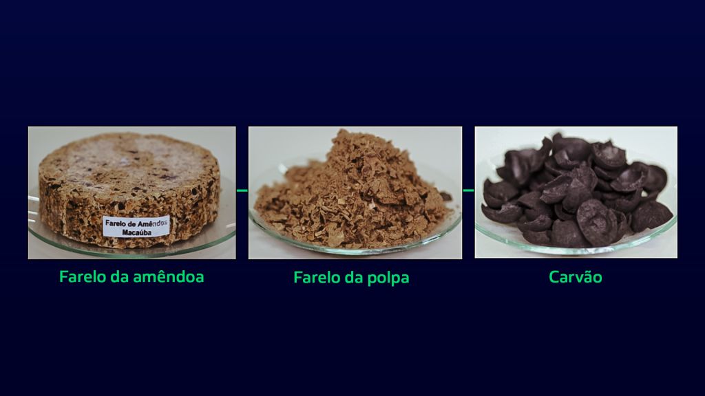 Co-produtos obtidos da extração de óleos da polpa e da amêndoa do frutos de macaúba