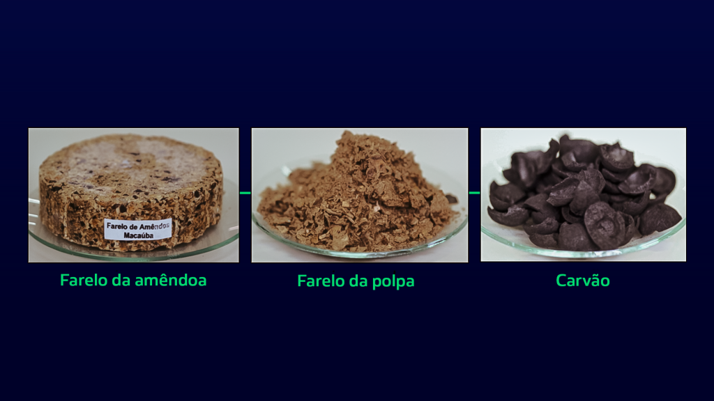 Co-produtos obtidos da extração de óleos da polpa e da amêndoa do frutos de macaúba