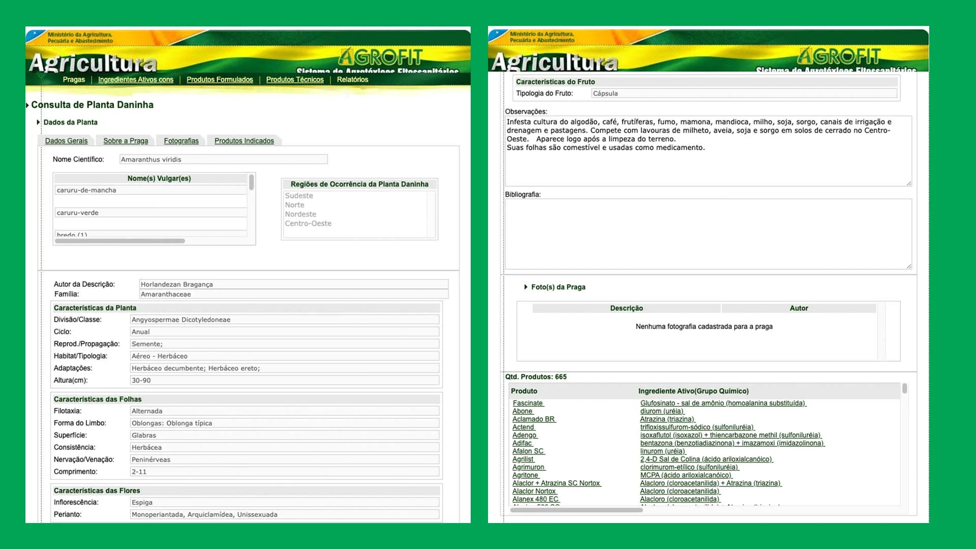 Catálogo de plantas na Agrofit