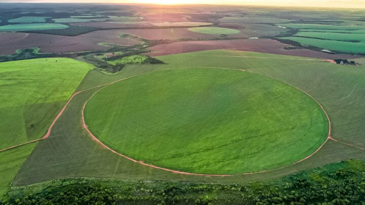 Talhão visto de cima - alqueire
