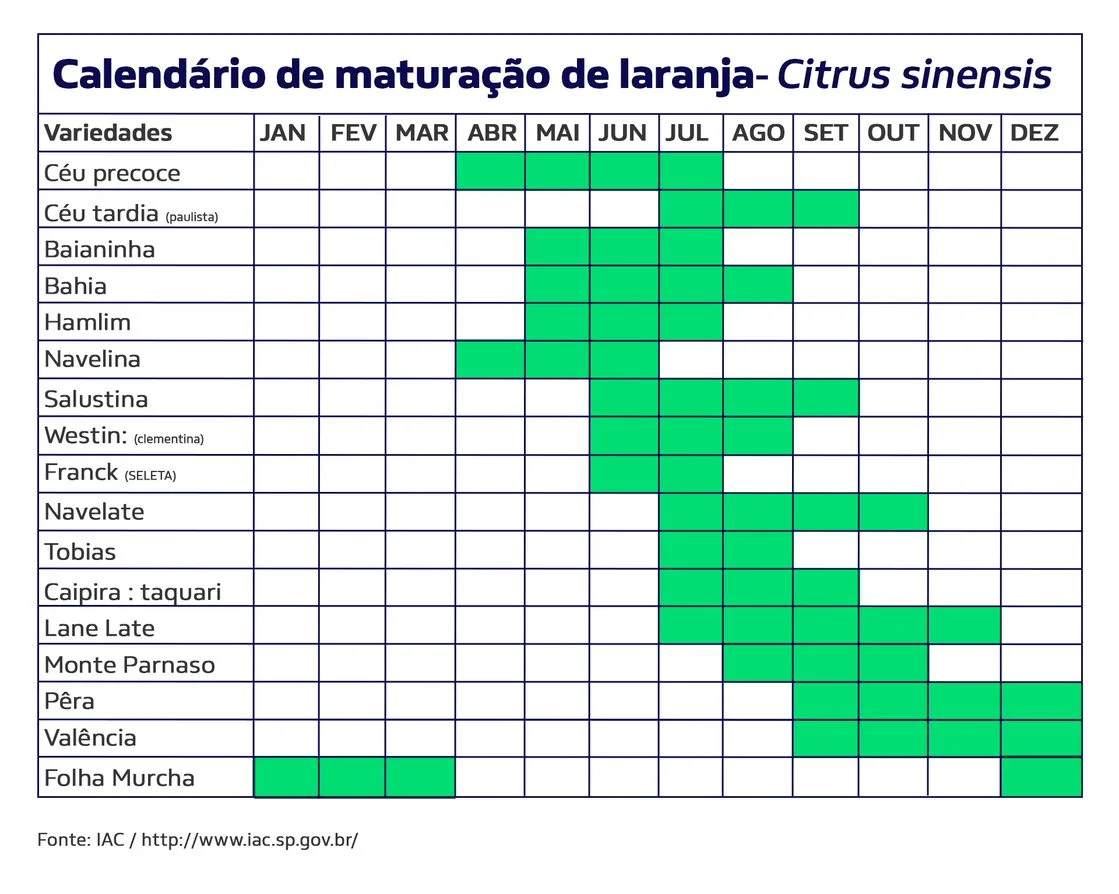 Calendário de maturação dos diferentes variedades da laranja