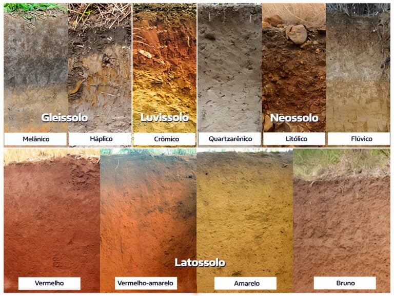 Tipos De Solo: O Guia Completo Para Sua Análise