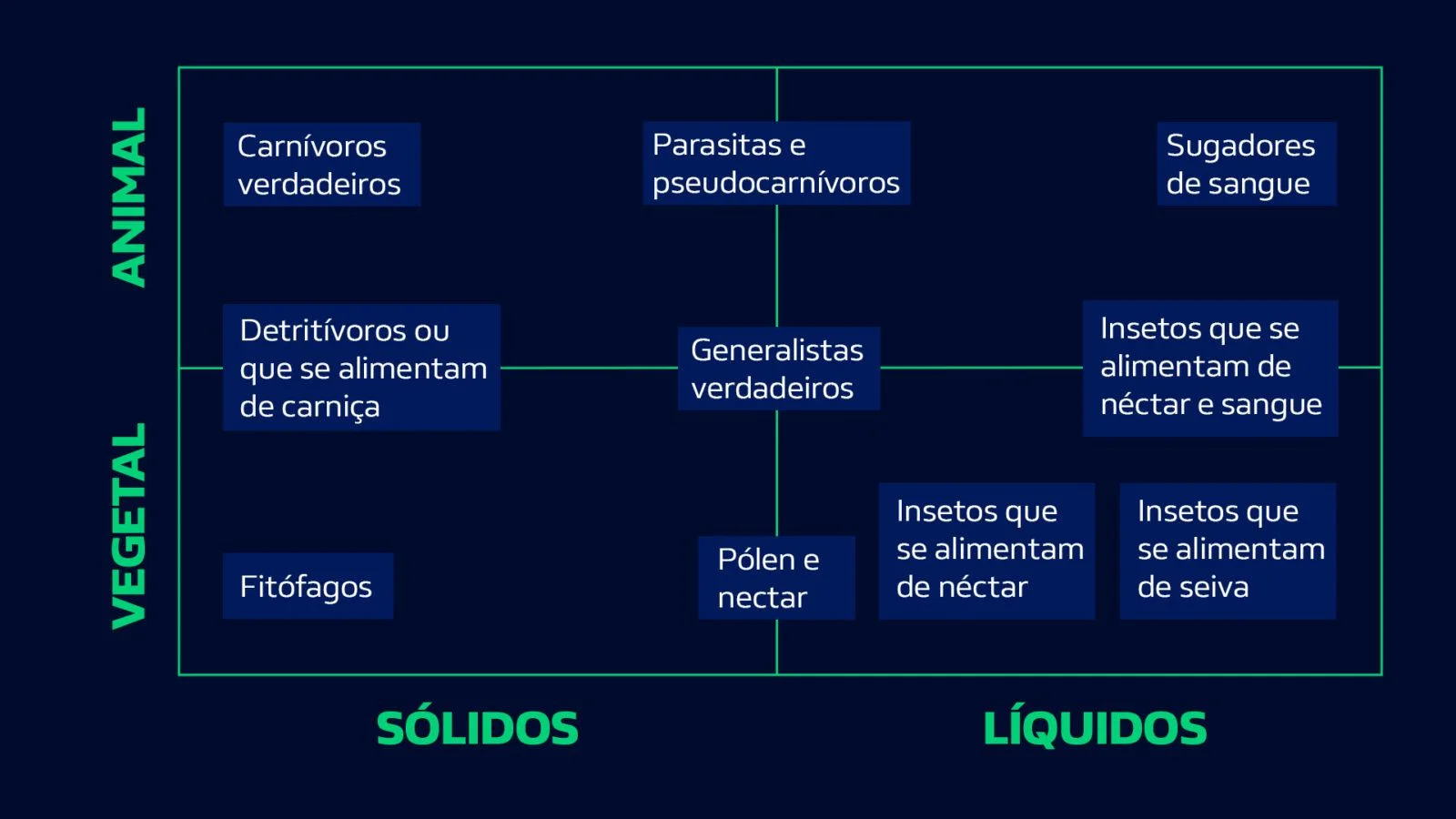 Aparelho digestivo insetos