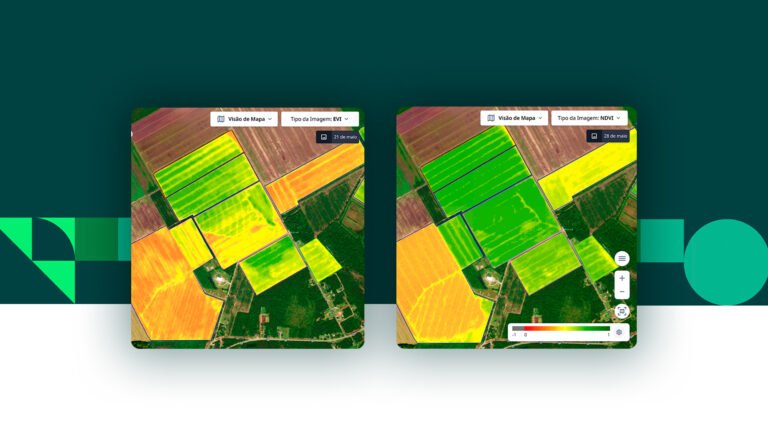 O Que é Geoprocessamento E Qual A Sua Importância?