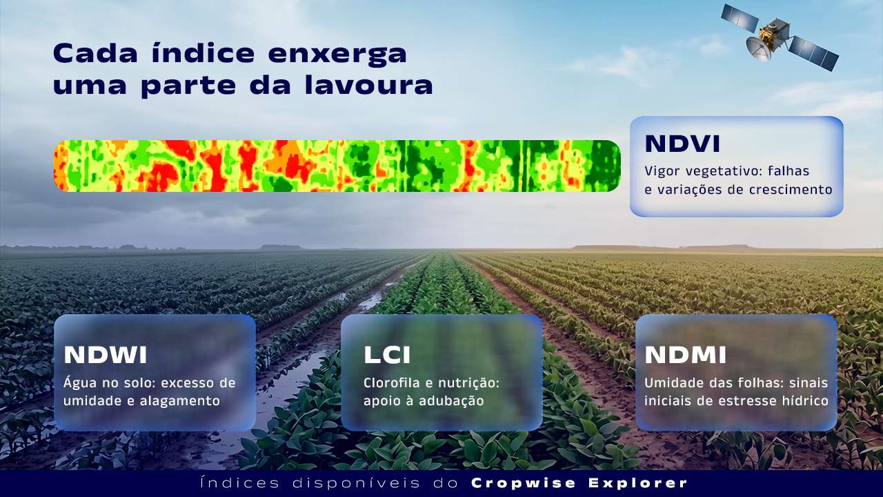 Infográfico mostrando o que os índices NDVI, NDWI, LCI e NDMI medem na lavoura, a partir de imagem de satélite.
