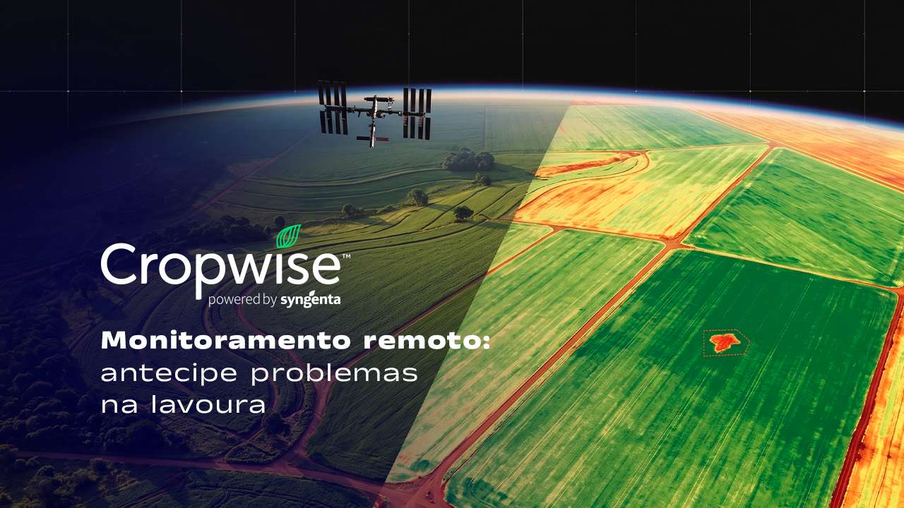 Lavoura vista de cima, metade em foto real e metade em mapa de índice de vegetação, com anomalia destacada em um talhão.