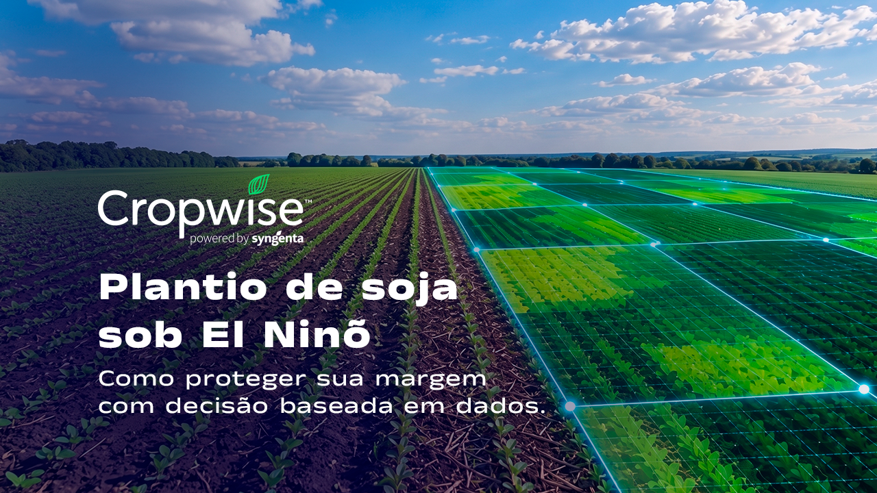 Lavoura de soja em emergência com sobreposição de mapa NDVI por talhão – plantio de soja 2026/27 sob El Niño
