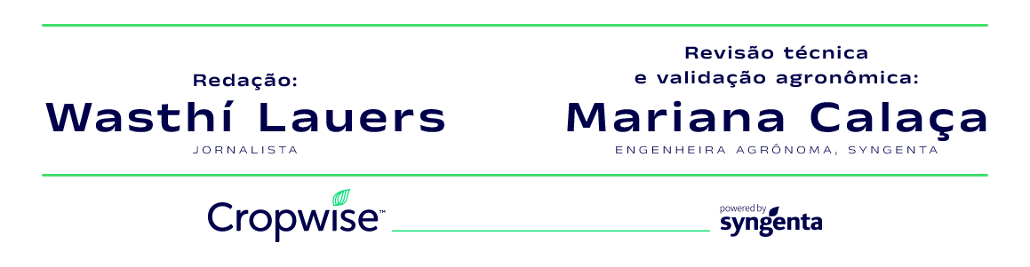 Redação: Wasthí Lauers, jornalista. Revisão técnica e validação agronômica: Mariana Calaça, engenheira agrônoma da Syngenta.
